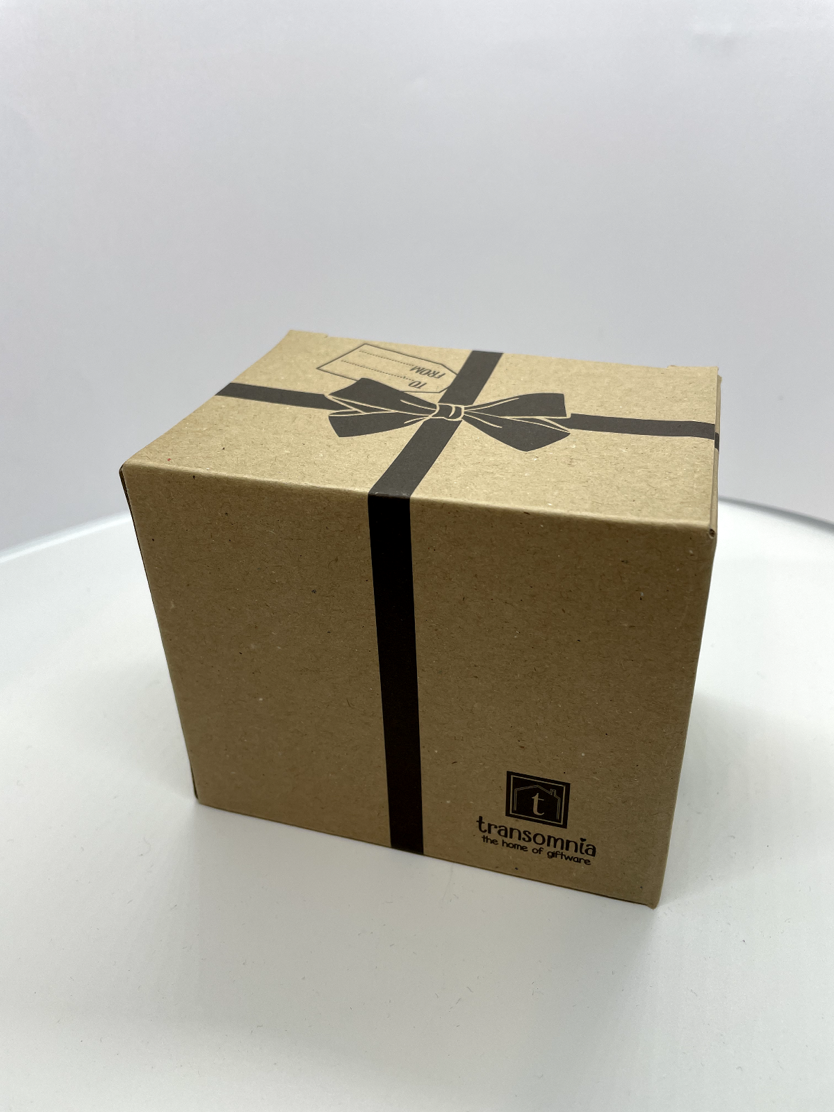 Transomnia Christmas Penguin Mug- ideal gift, tea or coffee mug