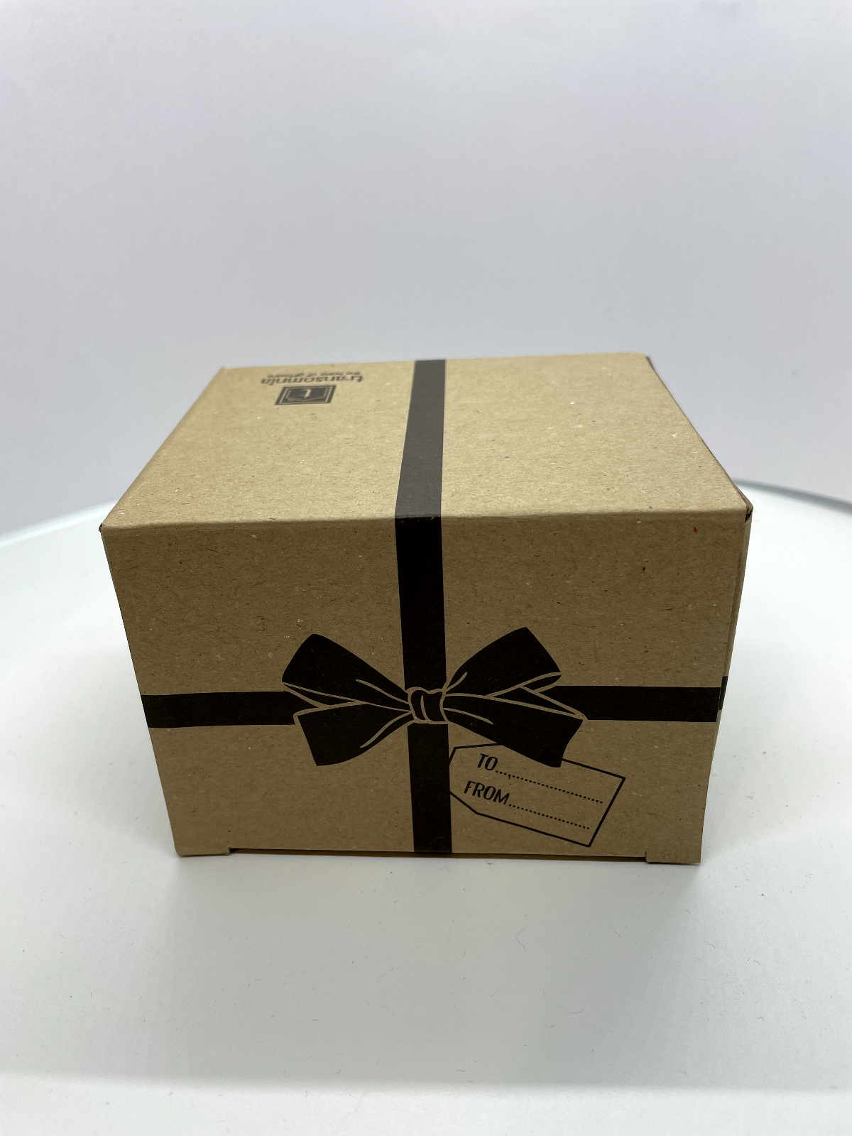 Transomnia Christmas Penguin Mug- ideal gift, tea or coffee mug